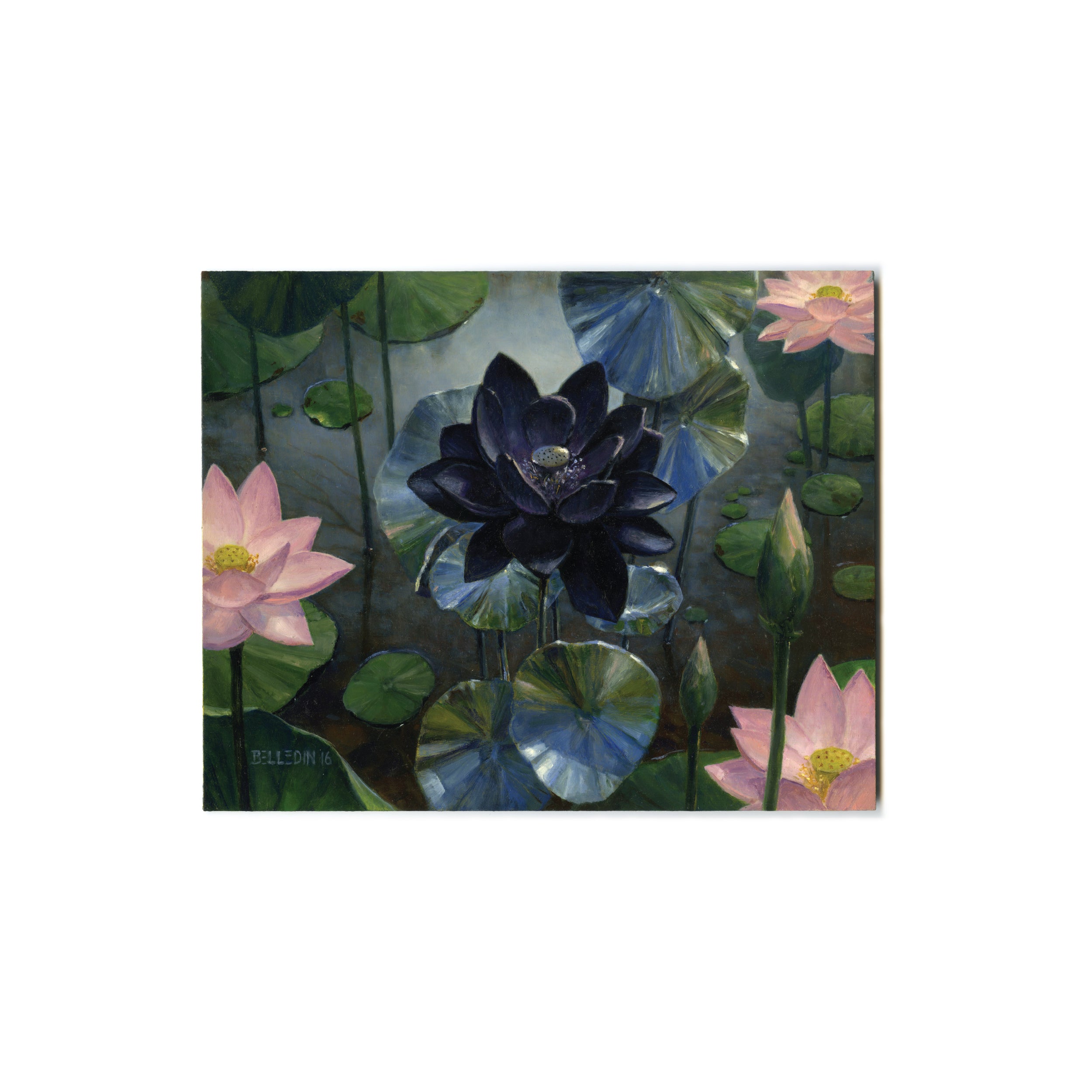 Black Lotus (Color Study)