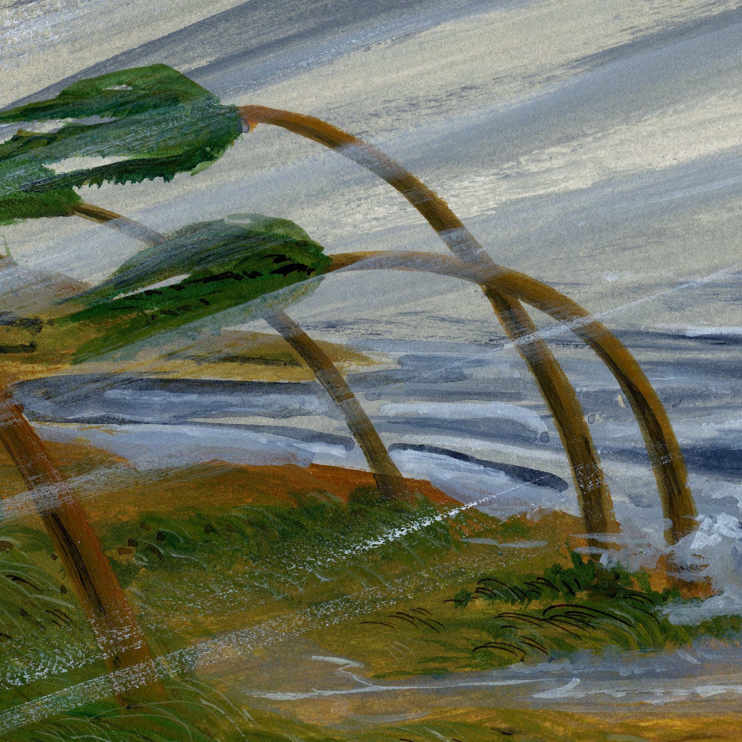 Hurricane (Original Art)