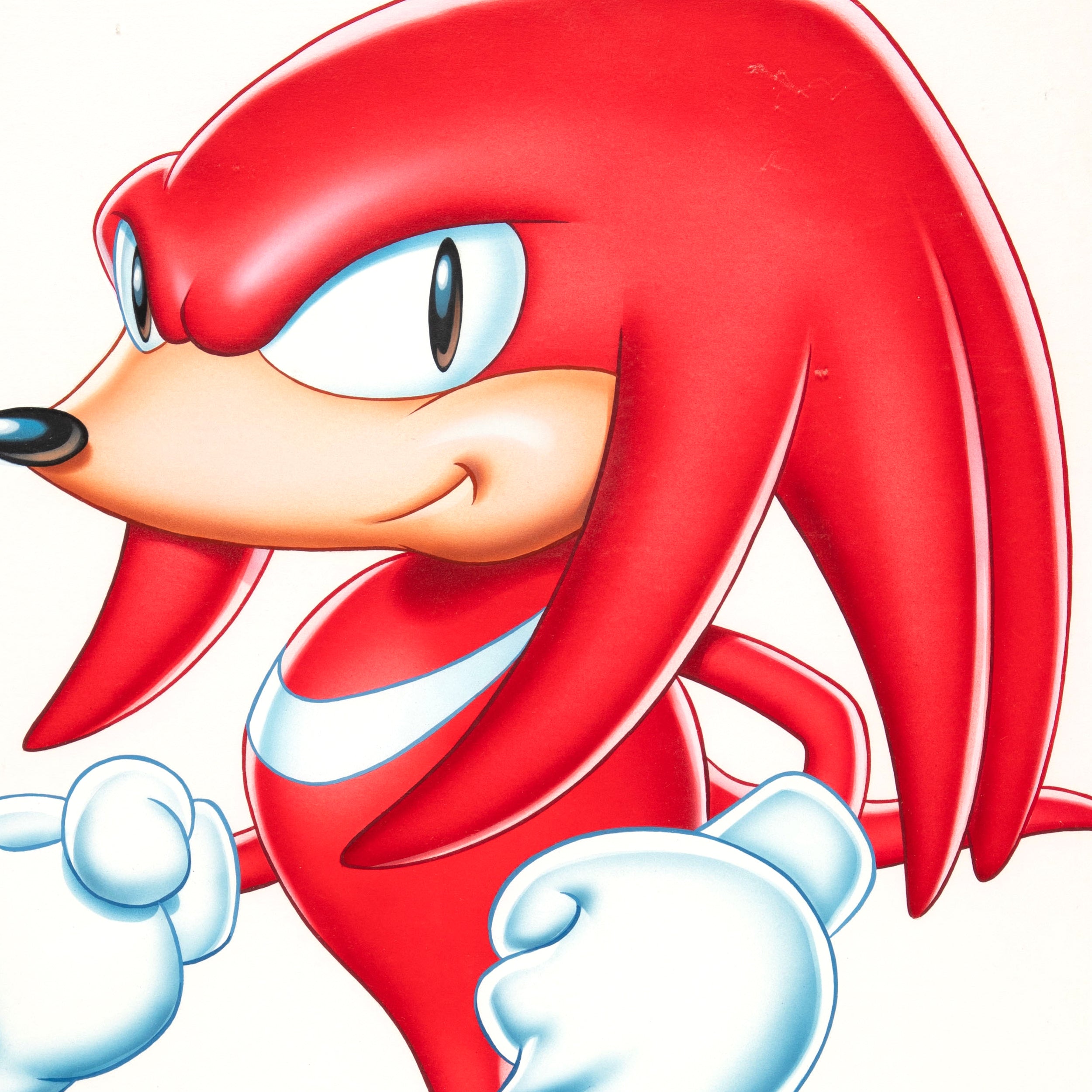 Knuckles Character Painting