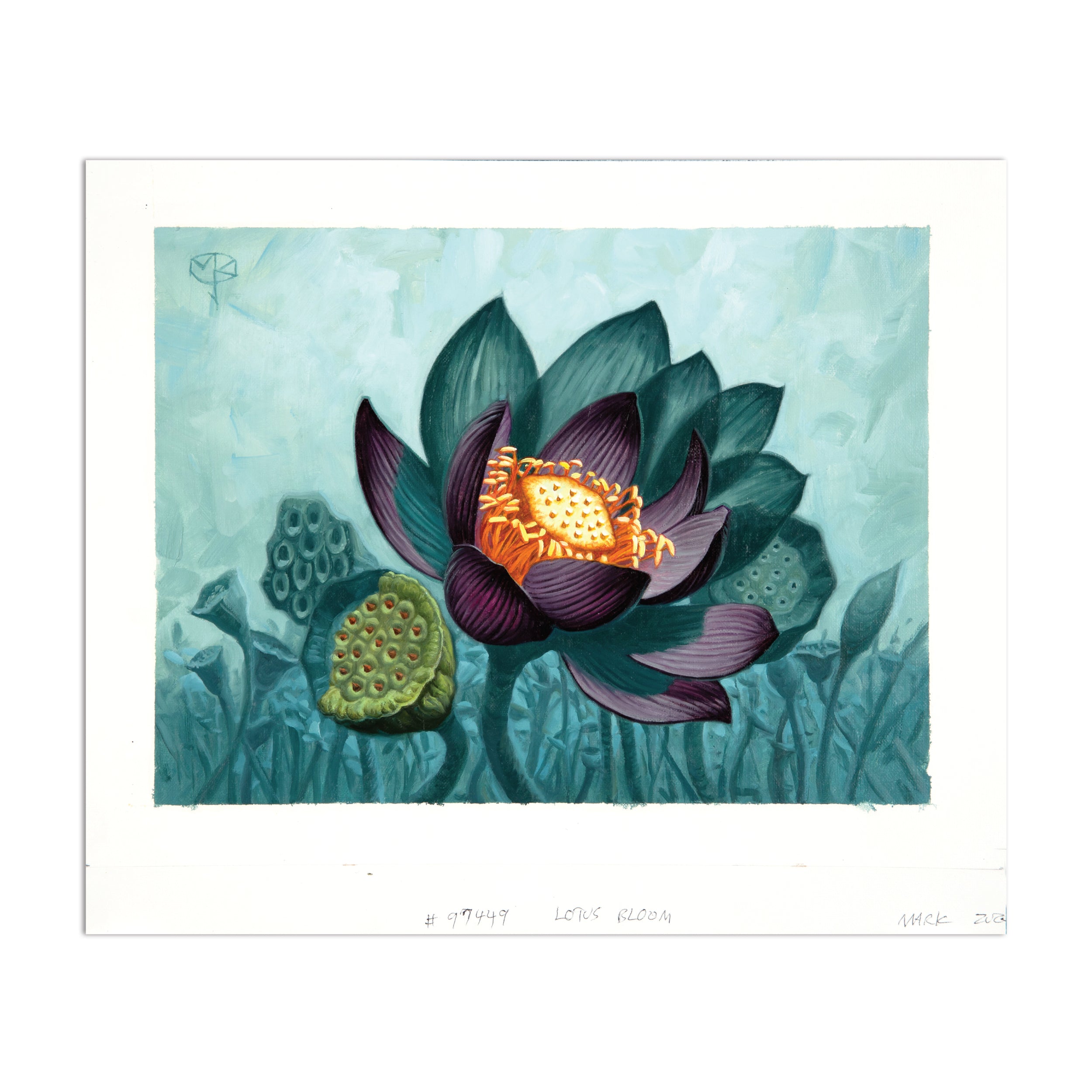 Lotus Bloom (Original Art)