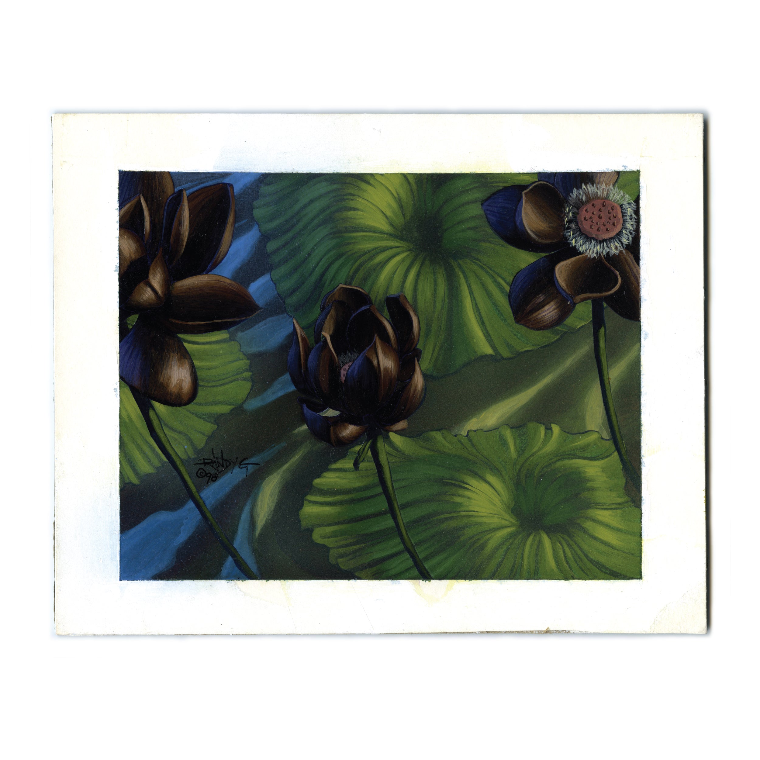 Lotus Blossom (Original Art)