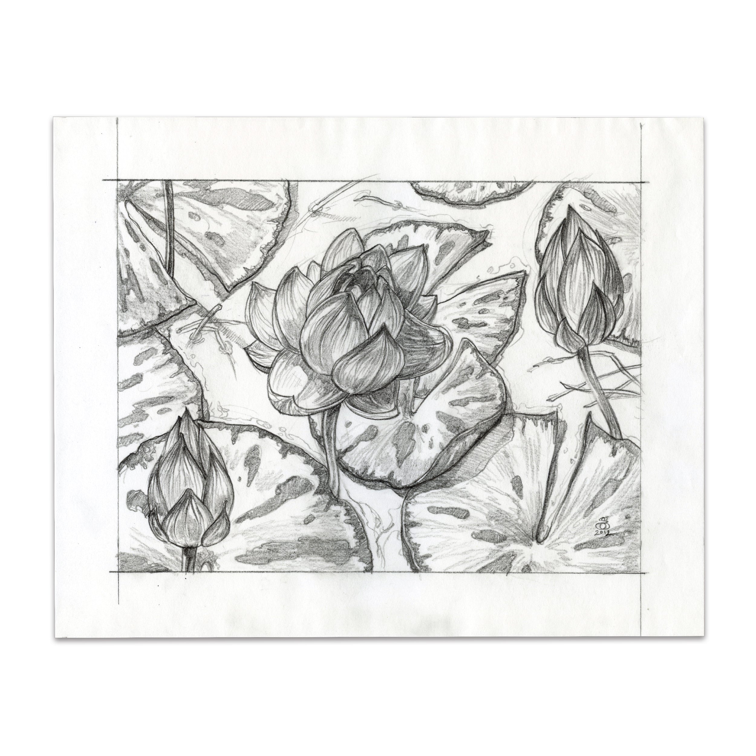 Lotus Blossom (Original Sketch)