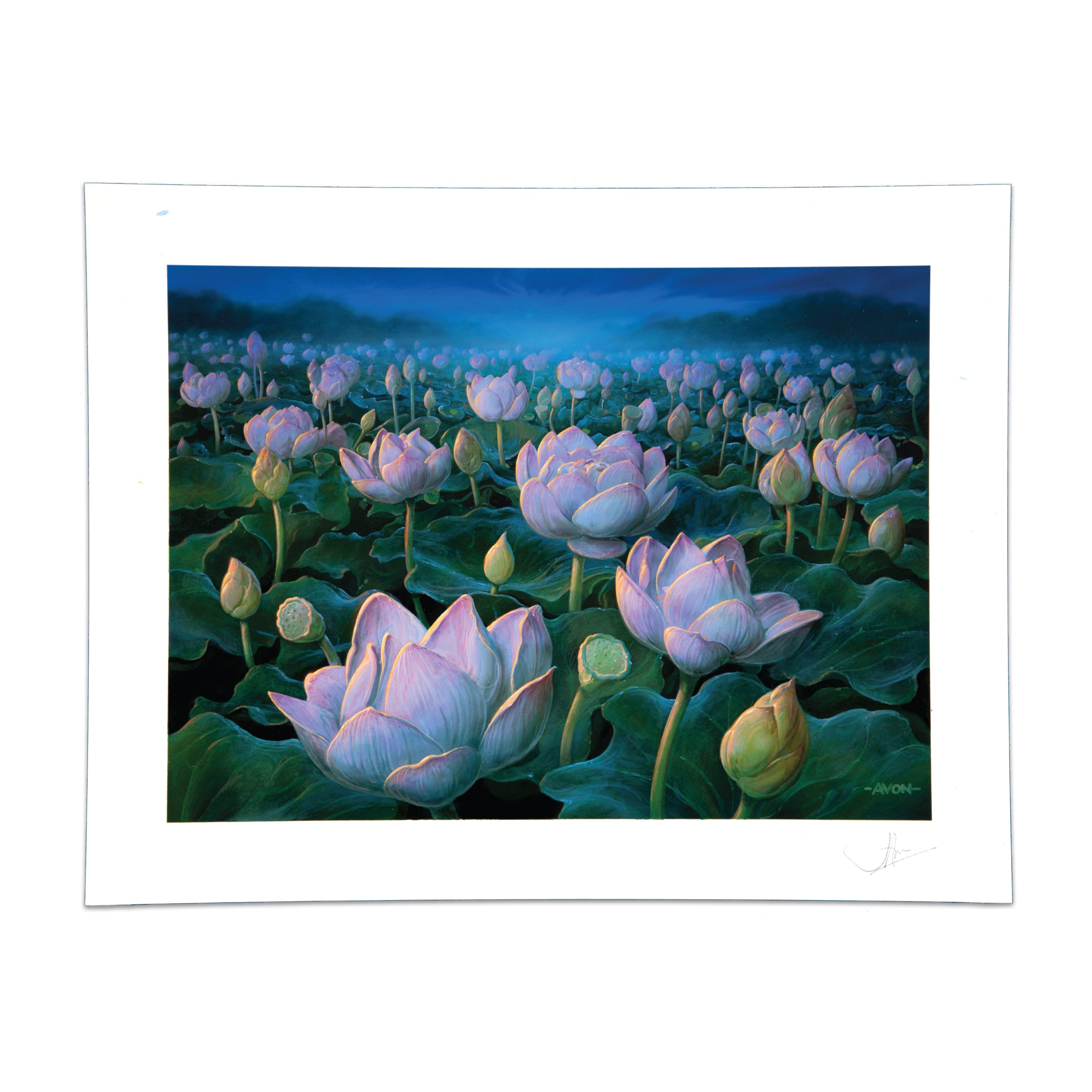 Lotus Field (Original Art)