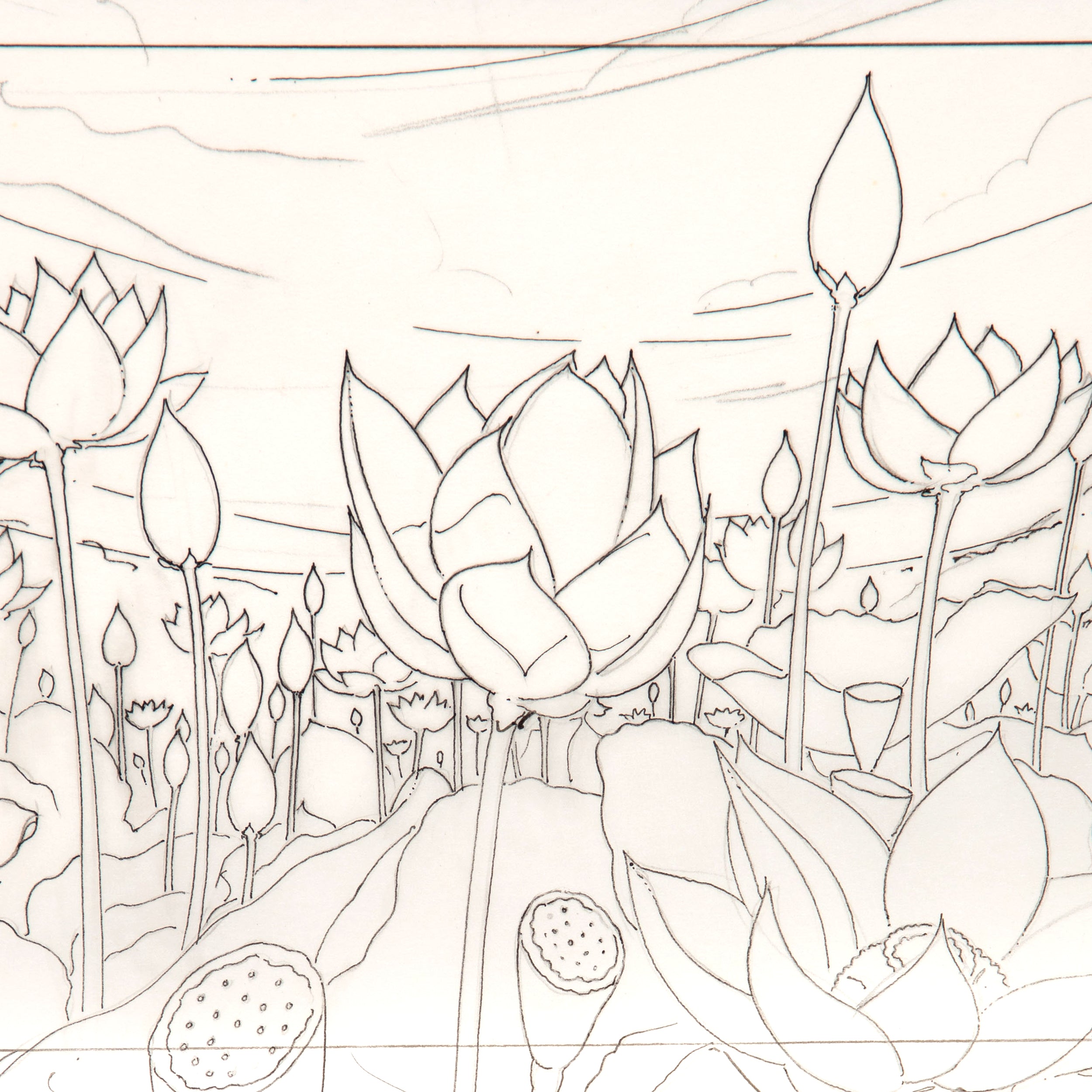 Lotus Vale (Original Sketch)