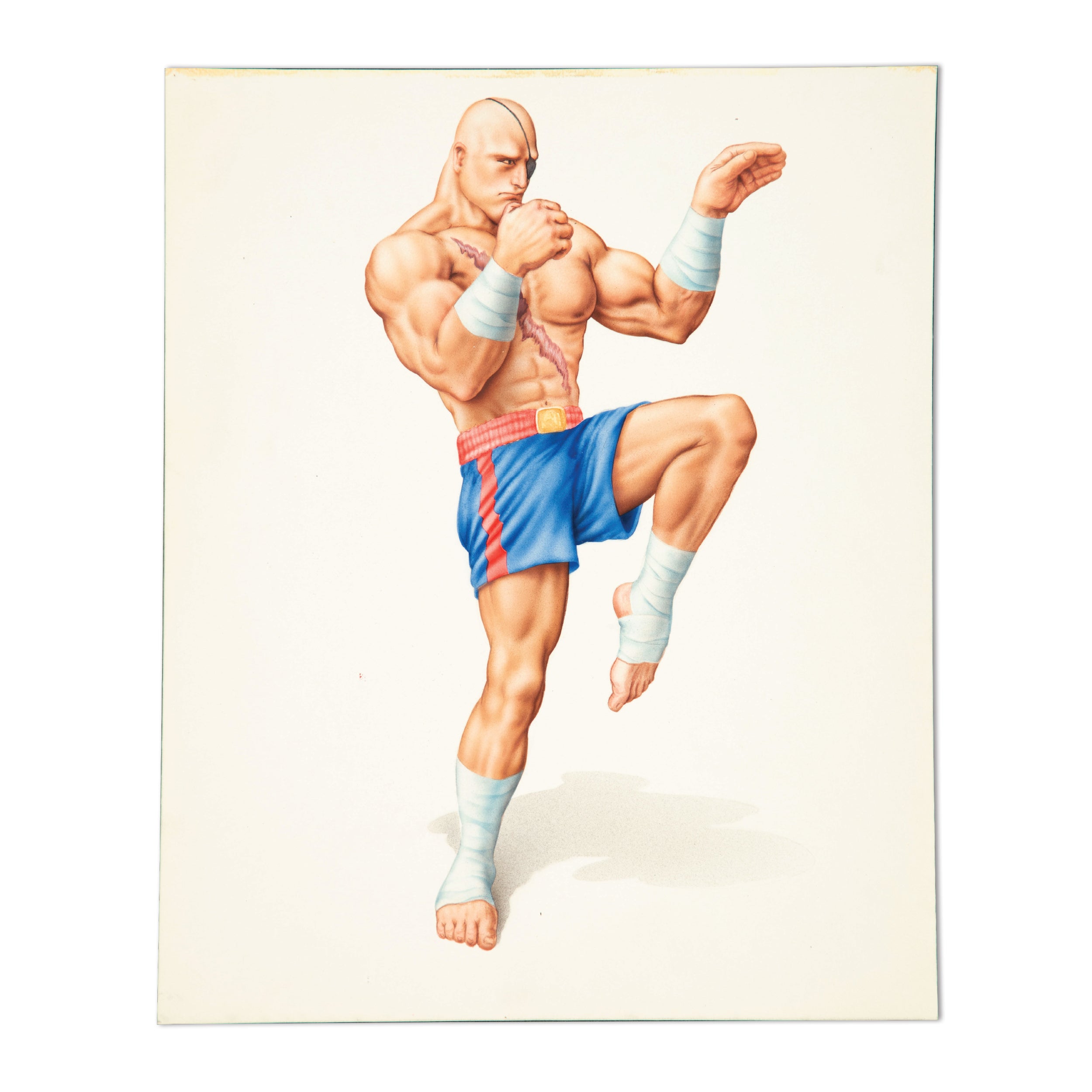Sagat (Character Painting)
