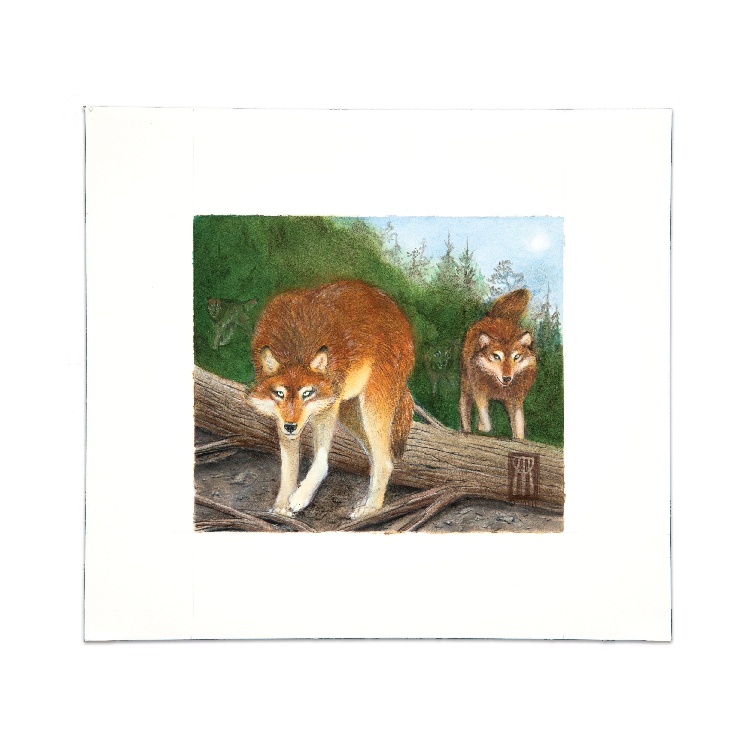 Timber Wolves (Repaint)